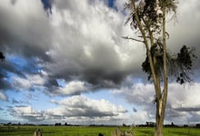 海港小将李新翔:教练让我一对一果断点,对自己表现还算满意.