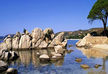 CBA新消息!曝莫兰德赛季报销,周琦需15天痊愈,韩德君带伤出战.